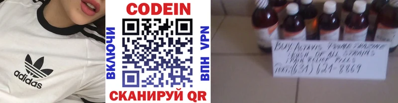 kraken как войти  Заринск  Кодеиновый сироп Lean напиток Lean (лин)  купить наркотики цена 