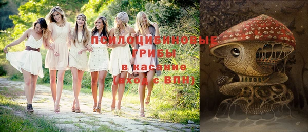 кокс Алексин