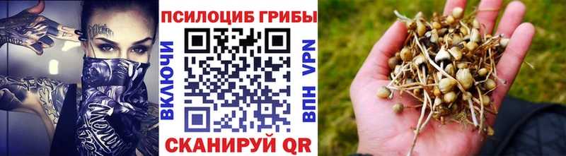 цена   Заринск  МЕГА сайт  Псилоцибиновые грибы прущие грибы 