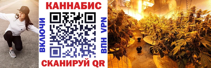 купить  цена  Заринск  Бошки марихуана план 